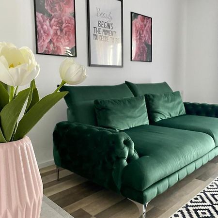 Velvet Studio Târgu-Mureş Dış mekan fotoğraf