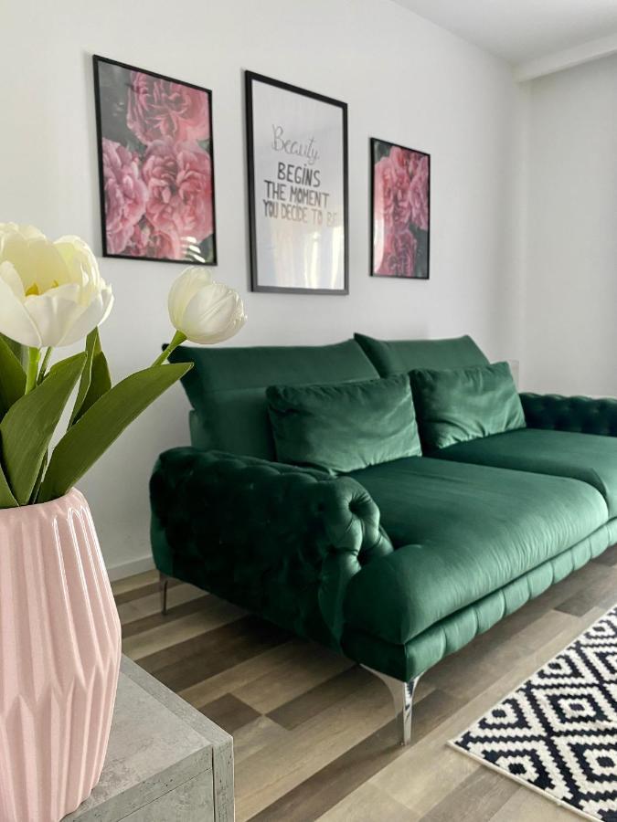Velvet Studio Târgu-Mureş Dış mekan fotoğraf